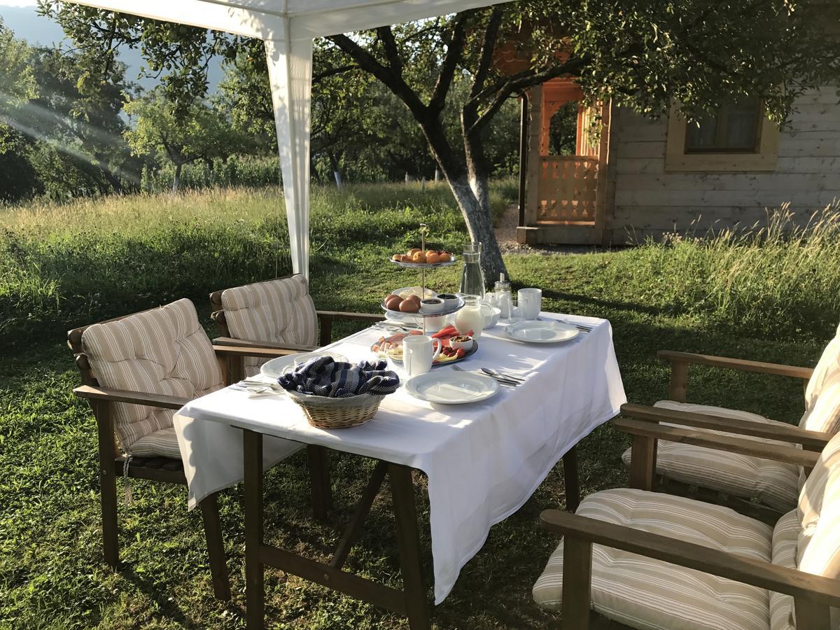 Magnolia Resort Chalets Vişeu de Sus Εξωτερικό φωτογραφία